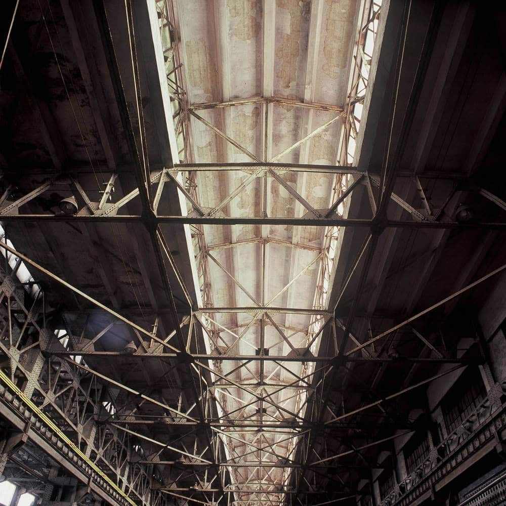 Let there be light - Fuji Provia 100F (RDP III)