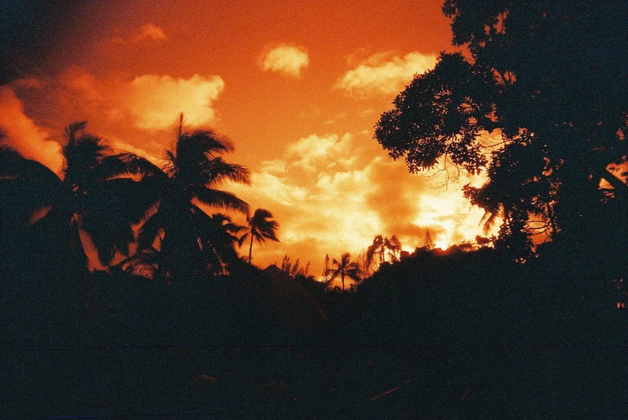 Photography: Hawaiian hues – Shot on Lomography Redscale XR 50-200 at EI 200(35mm format)