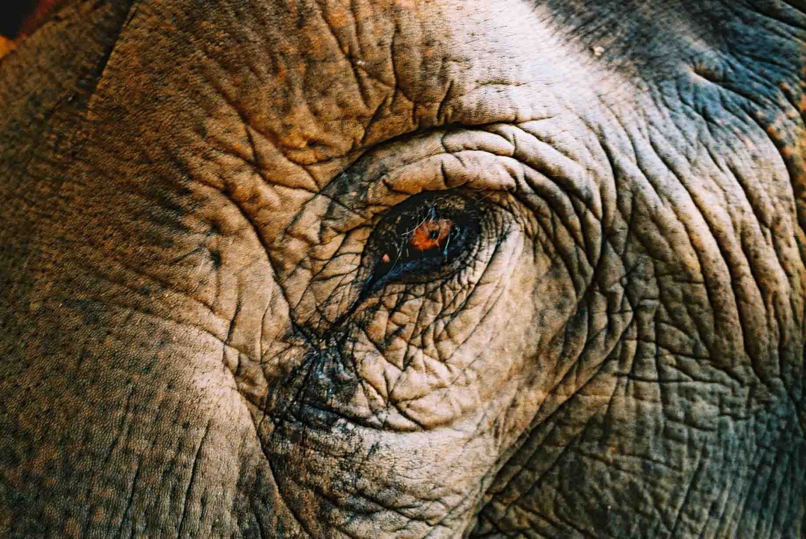 Photography: Weathered – Shot on Kodak PROFESSIONAL ELITE Chrome 100 EB-3 at EI 100 (35mm format)