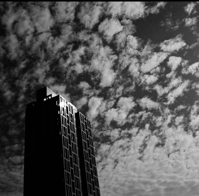 Stand apart - Kodak TMAX 100