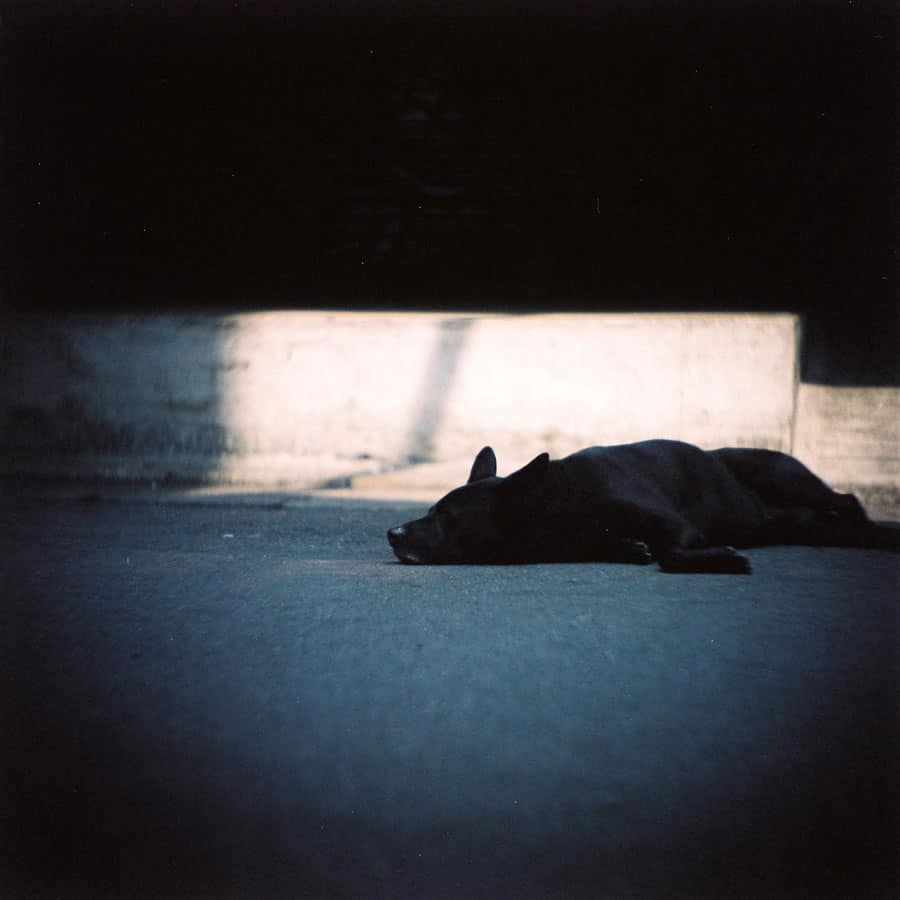 Photography: Naptime – Shot on Kodak PPN 160 at EI 100 (120 format)
