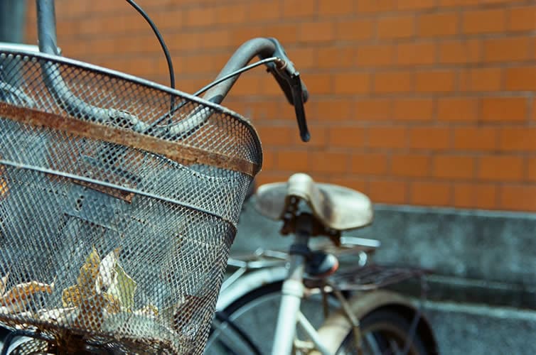 Photography: Basket case – Shot on Kodak VISION3 250D 5207 at EI 250 (35mm format)