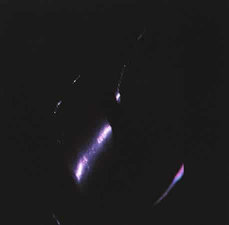 Nightshade - Lomochrome Purple XR 100-400 shot as ISO400