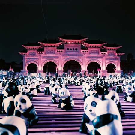 Photography: Panda party! – Shot on Lomography Lomochrome Purple XR100-400 at EI 400 (120 format)