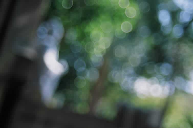 Photography: Refocus – Shot on Kodak EKTACHROME 100D 5285 at EI 100 (35mm format)