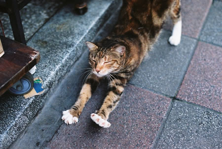 ...and stretch - Unknown film at unknown ISO