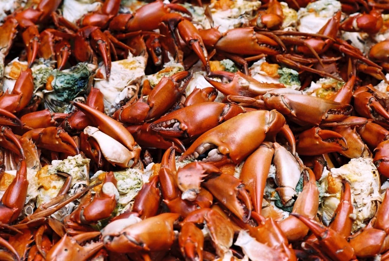 Agfa Vista 200 shot at EI 200 - Canon Serenar 50mm f/1.5