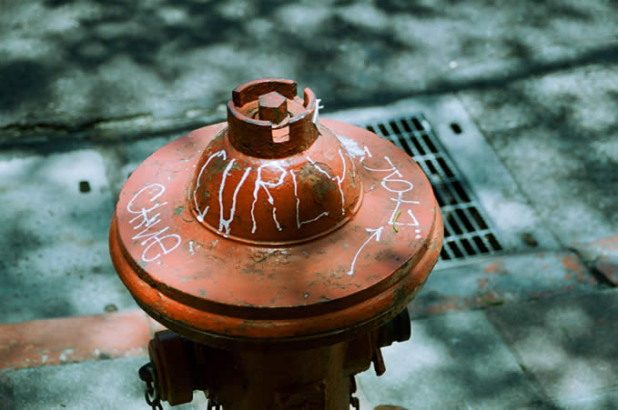 Photography: Curly – Shot on Kodak VISION3 250D 5207 at EI 250 (35mm format)