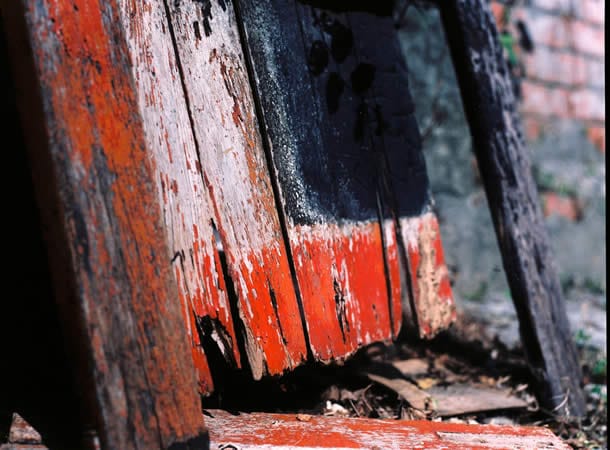 Photography: Evanesce – Shot on Kodak Ektar 100 at EI 100 (120 format)