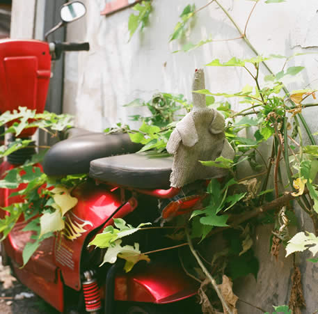 Photography: Glovely sentiment – Shot on Fuji Superia 100 at EI 100 (120 format)