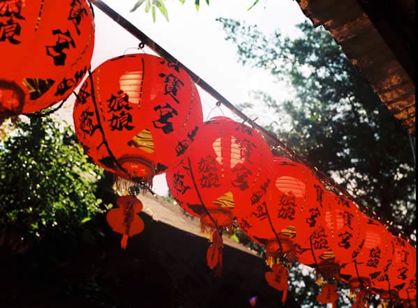 Photography: High strung – Shot at Kodak Ektar 100 shot at EI 100 (120 format)