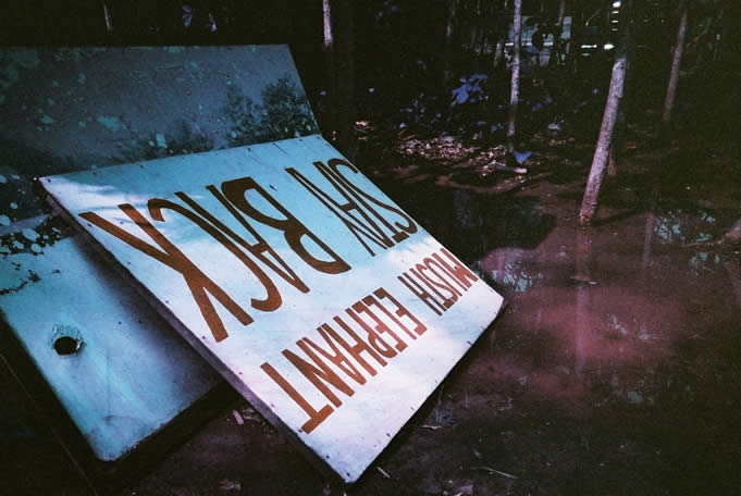 MUSTH not approach - Lomochrome Purple XR 100-400 shot at ISO400