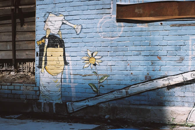 Photography: Nurture nature – Kodak Ultramax 400 (35mm)