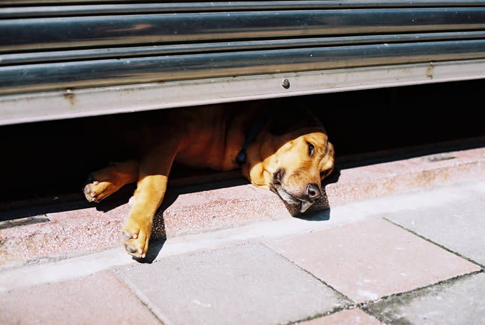 Photography: Here is good – Shot on Kodak Ektar 100 at EI 100 (35mm format)