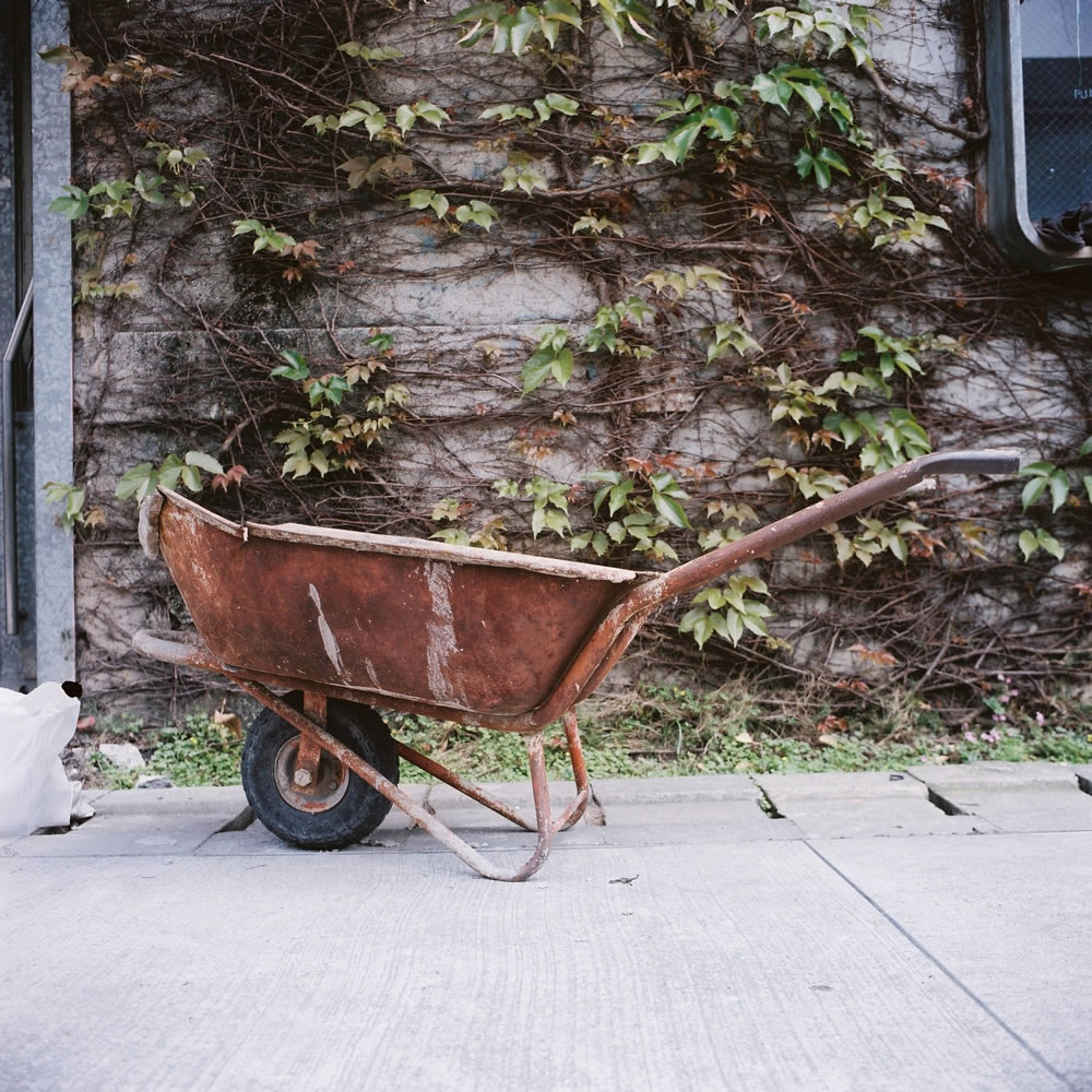 Mind if I barrow this?