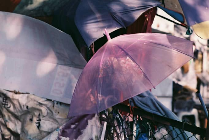 Photography: Dappled – Shot on Mitsubishi 100 Color at EI 100 (35mm format)