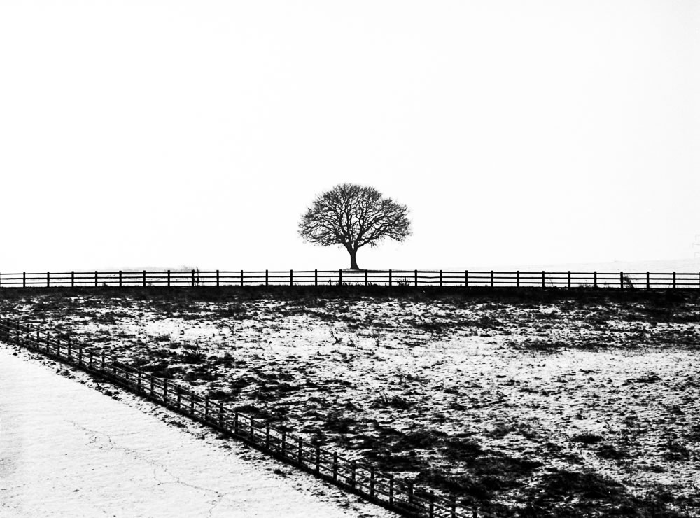 EMULSIVE interview #45: I am Hans ter Horst and this is why I shoot film