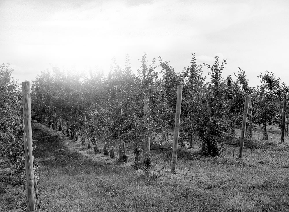 EMULSIVE interview #46: I am Mike Pouliot and this is why I shoot film