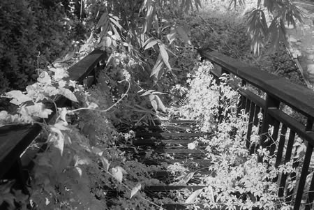 Photography: Going nowhere – ILFORD SFX 200 at EI 6 (35mm format)