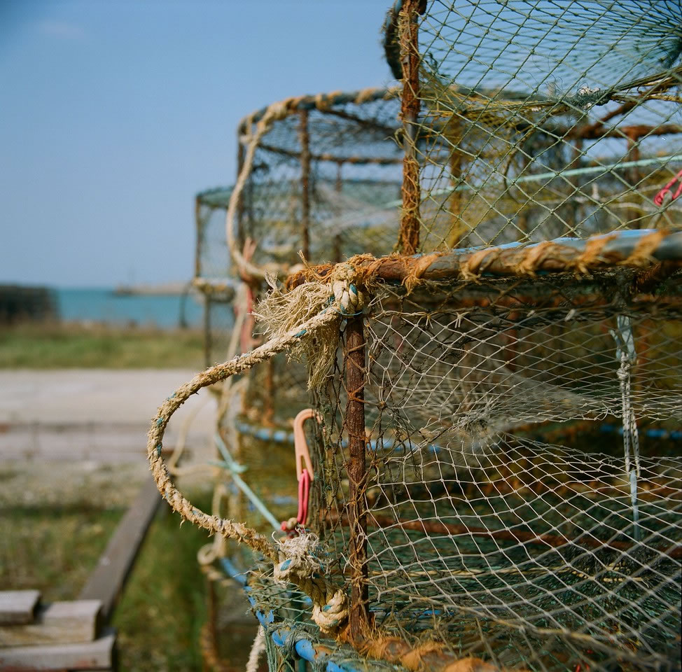 Some occasional use - Kodak Portra 400 shot at ISO400. Color negative film in 120 format shot as 6x6.