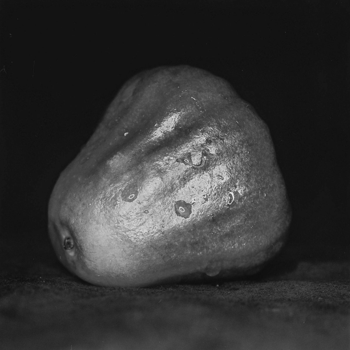 Photography: Wax apple light study #02 – Ilford Pan F Plus