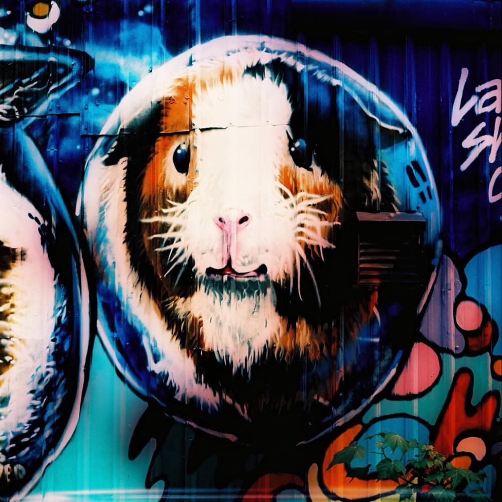 Photography: Forever blowing bubbles – Fuji Velvia 50 RVP50 (120 format)