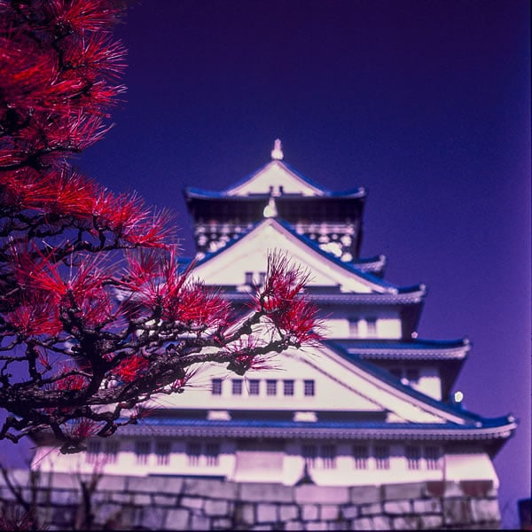 Photography: Osaka infrared – Kodak AEROCHROME III 1443 (120)