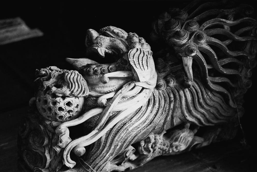 Photography: Lionhead – Maco Eagle AQS 400 (35mm)