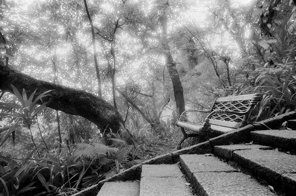 Photography: Glow – Shot on Kodak High Speed Infrared / HIE at EI 100 (35mm format)