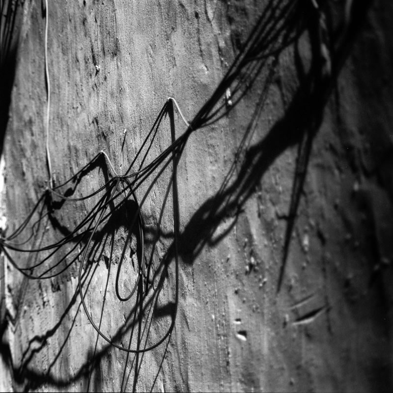 Photography: Wavy lines – Kodak T400CN (120)