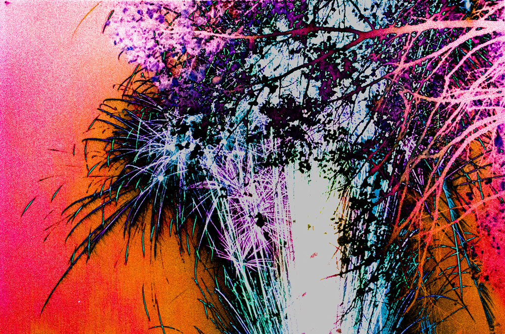 2015 UK – Minolta 600si Classic: 28-80mm f/3.5, 30s exp., Kodak Ektar 100