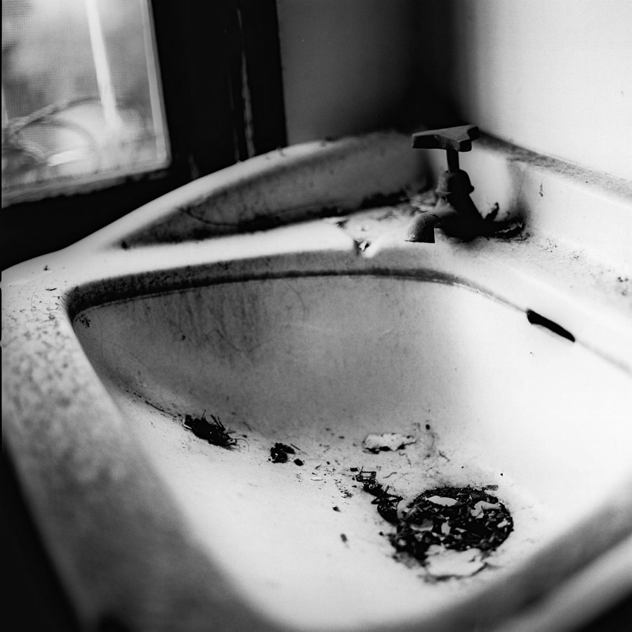Photography: Elbow grease – Kodak T-MAX 100 (120)