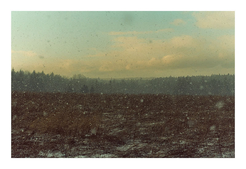 EMULSIVE interview #81: I am Drew Amyot and this is why I shoot film