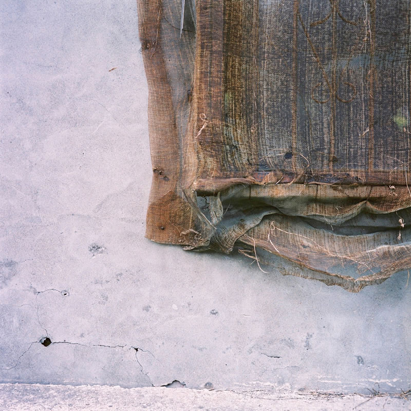 Photography: Meshed up – Kodak Portra 400VC (120)