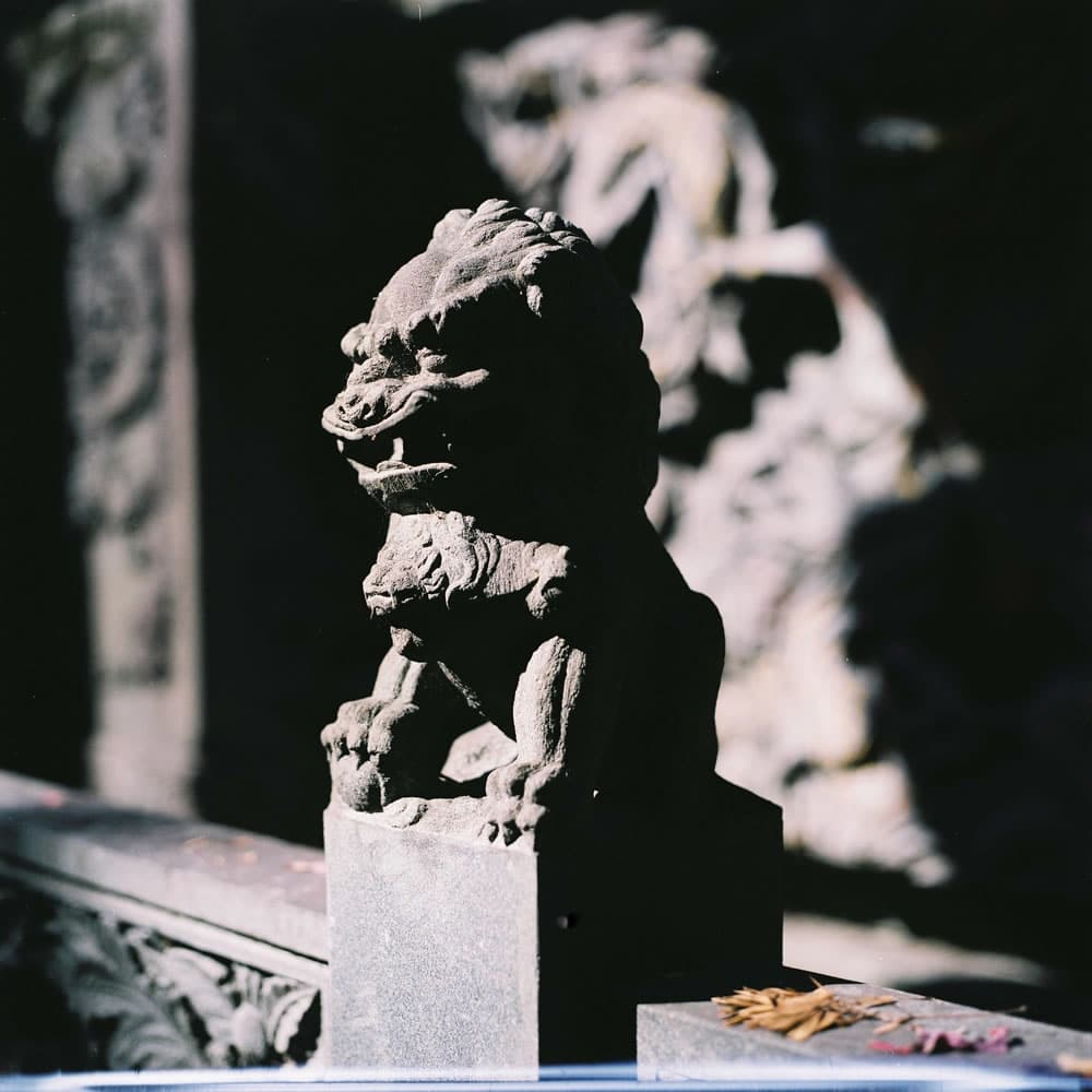 Photography: Standing guard – Fuji Pro 160NS
