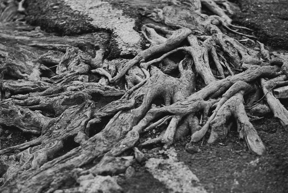 2016-06-29 - Resurfaced - Kodak Tri-X 400 shot at EI 3200. Black and white negative film in 35mm format. Push processed three stops