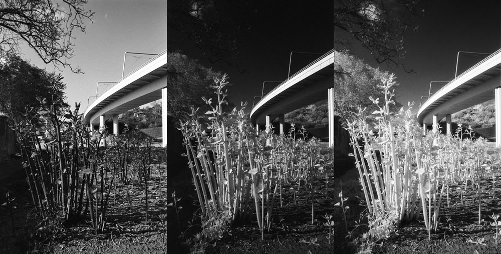 Film stock review: Fomapan 400 Action / Arista EDU Ultra 400 plus infrared uses