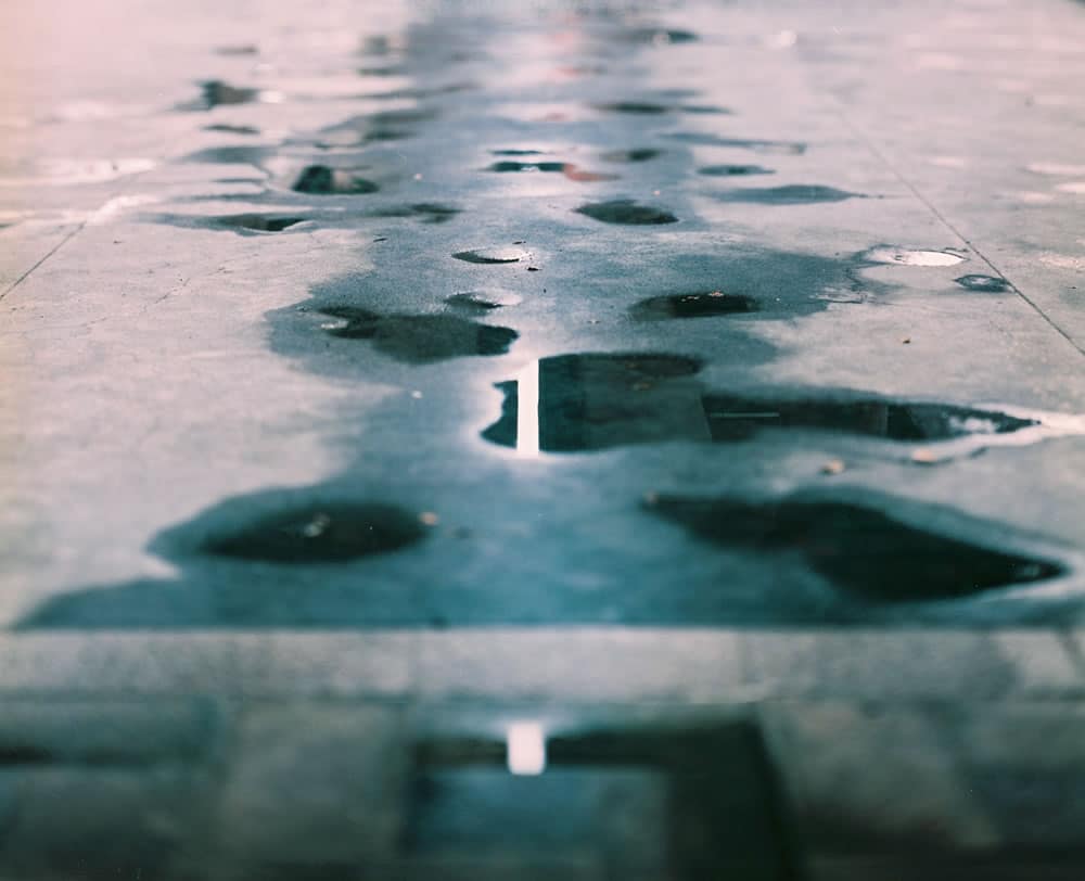 Photography: The path ahead – Fuji Pro 160NS (120)