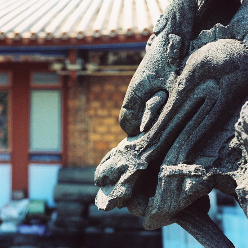 Photography: Dragon’s pearl – Kodak EKTACHROME E200 (120)