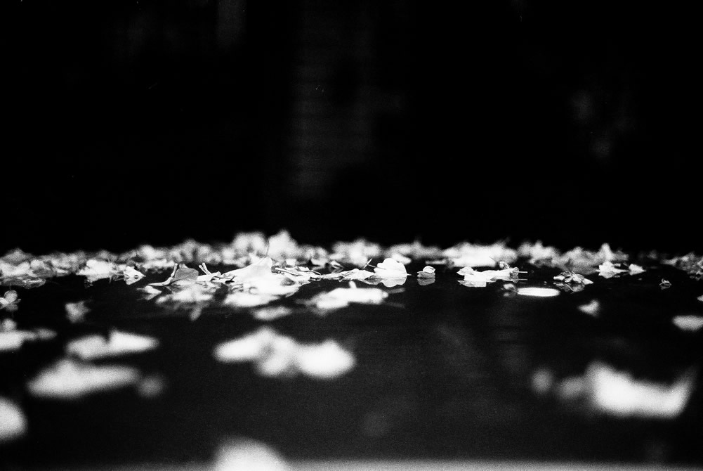 Scattered - Kodak Hawkeye Traffic Surveillance Black and White Film 2485 shot at EI 800. Black and white negative film in 35mm format. Push processed one-stop.