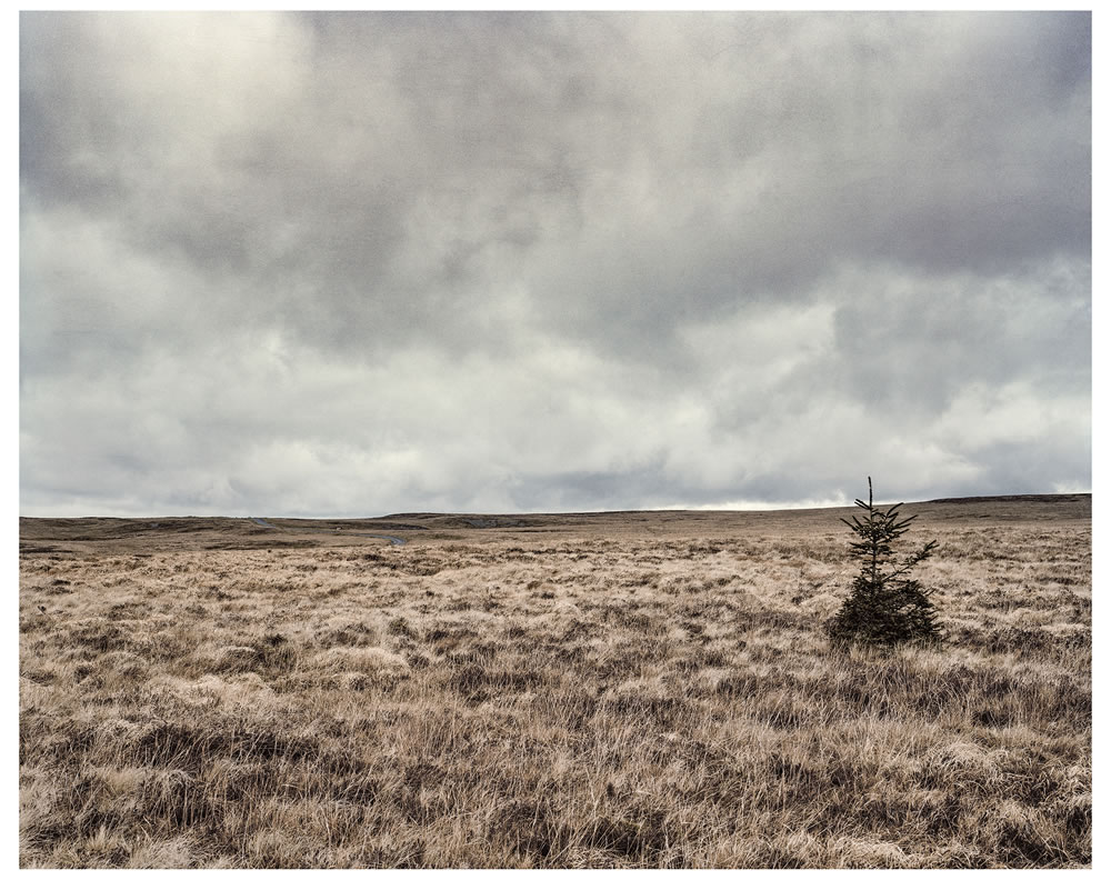 EMULSIVE interview #108: I am Dave Mackay and this is why I shoot film