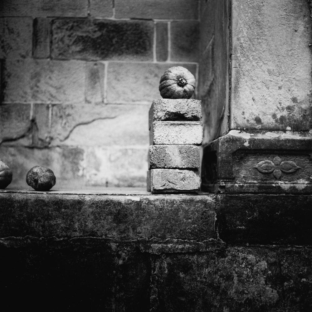 Photography: Pumpkin pile – Ilford Pan F+ (120)