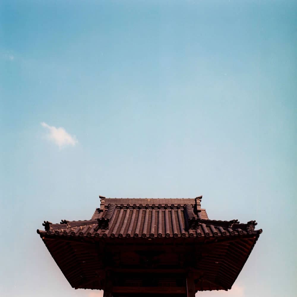 Photography: Raise the roof – Fuji NPS 160 (120)