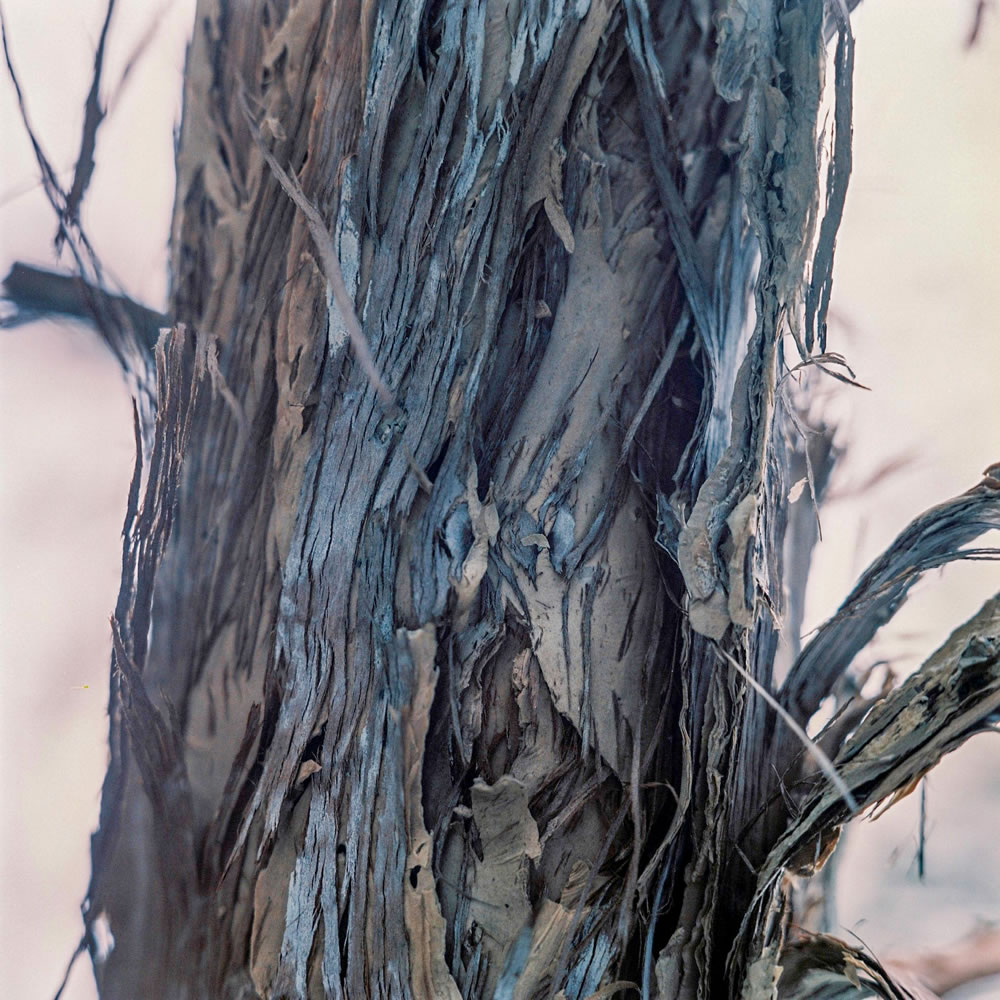 Photography: Splayed – Kodak Portra 400VC (120)