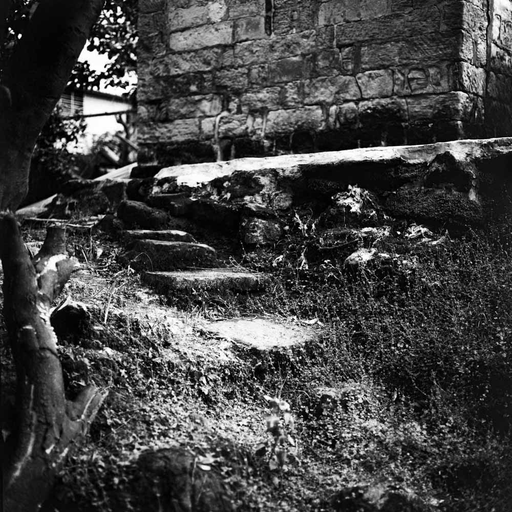 Photography: Stagnant staircase – Ilford Pan F+ (120)