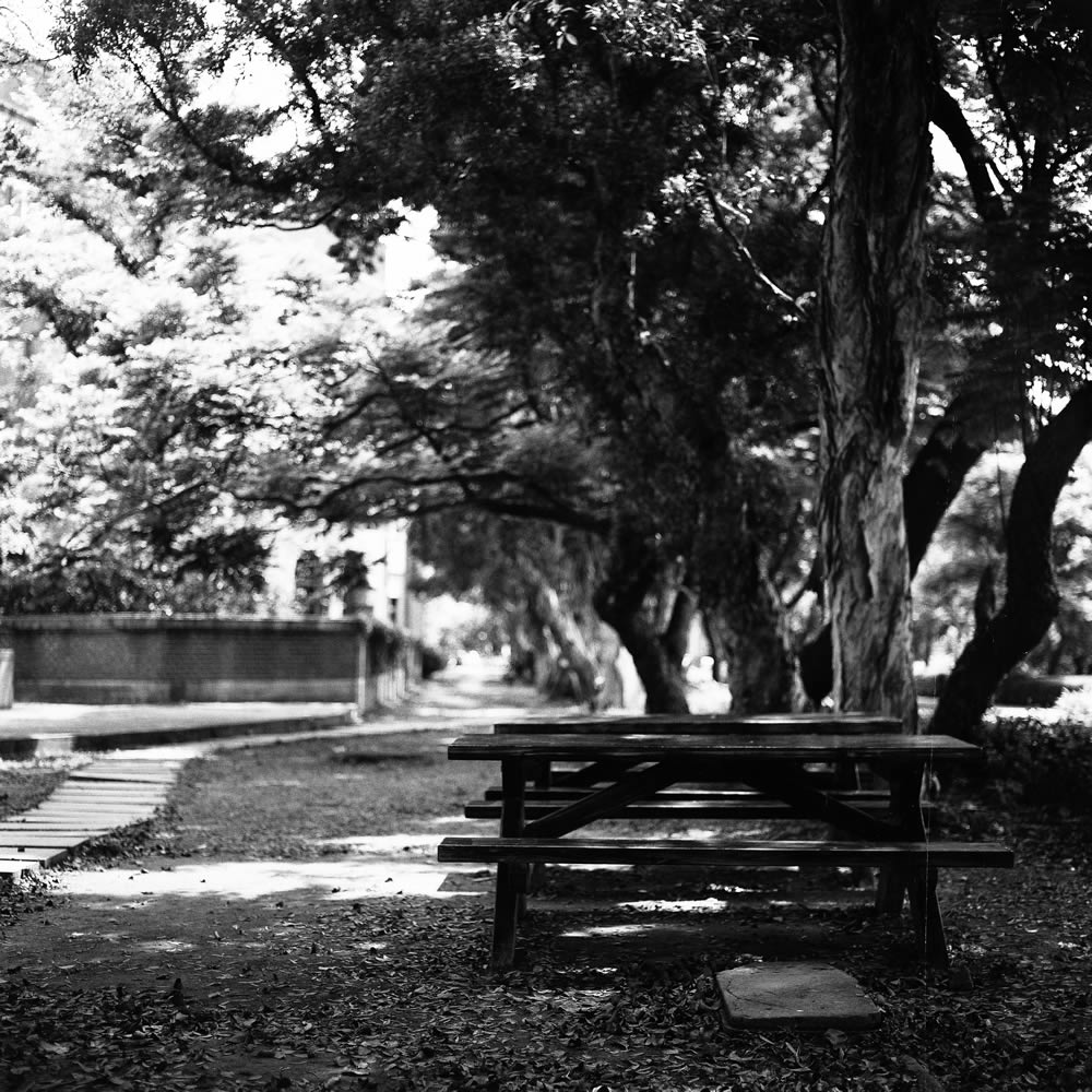 Photography: Bench – Ilford Delta 400 Professional (120)