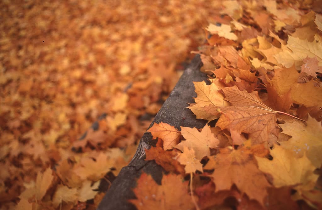 EMULSIVE interview #120: I am Dustin Veitch and this is why I shoot film