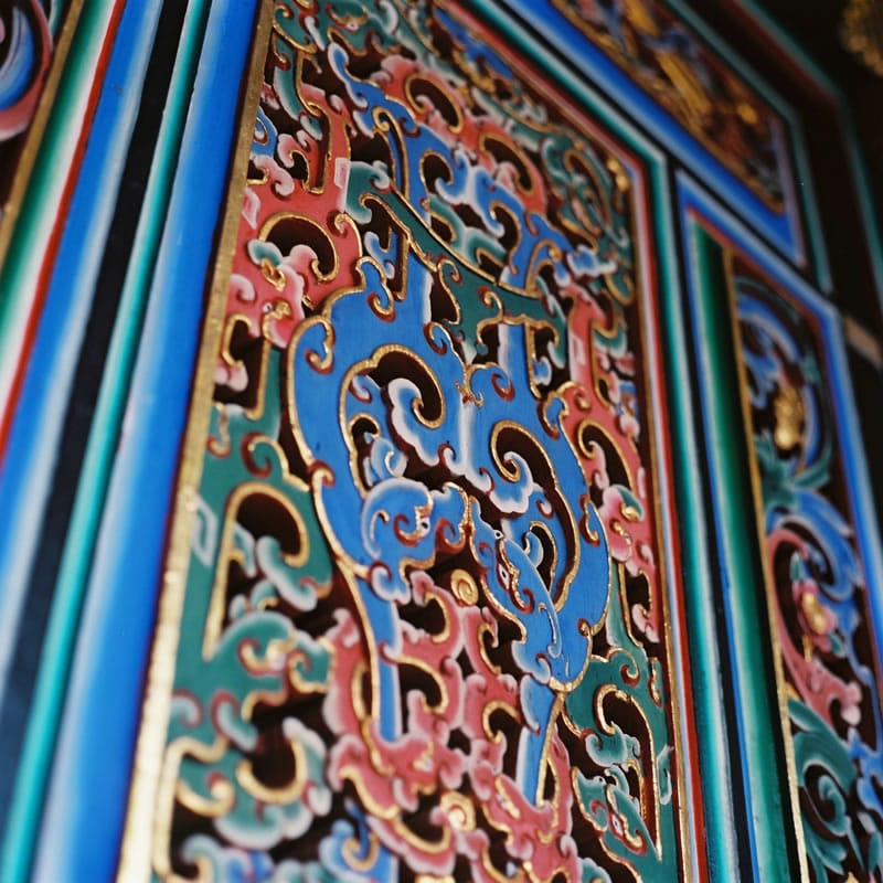 Untitled - Kodak Ektar 100 shot at EI 100. Color negative film in 120 format shot as 6x6.