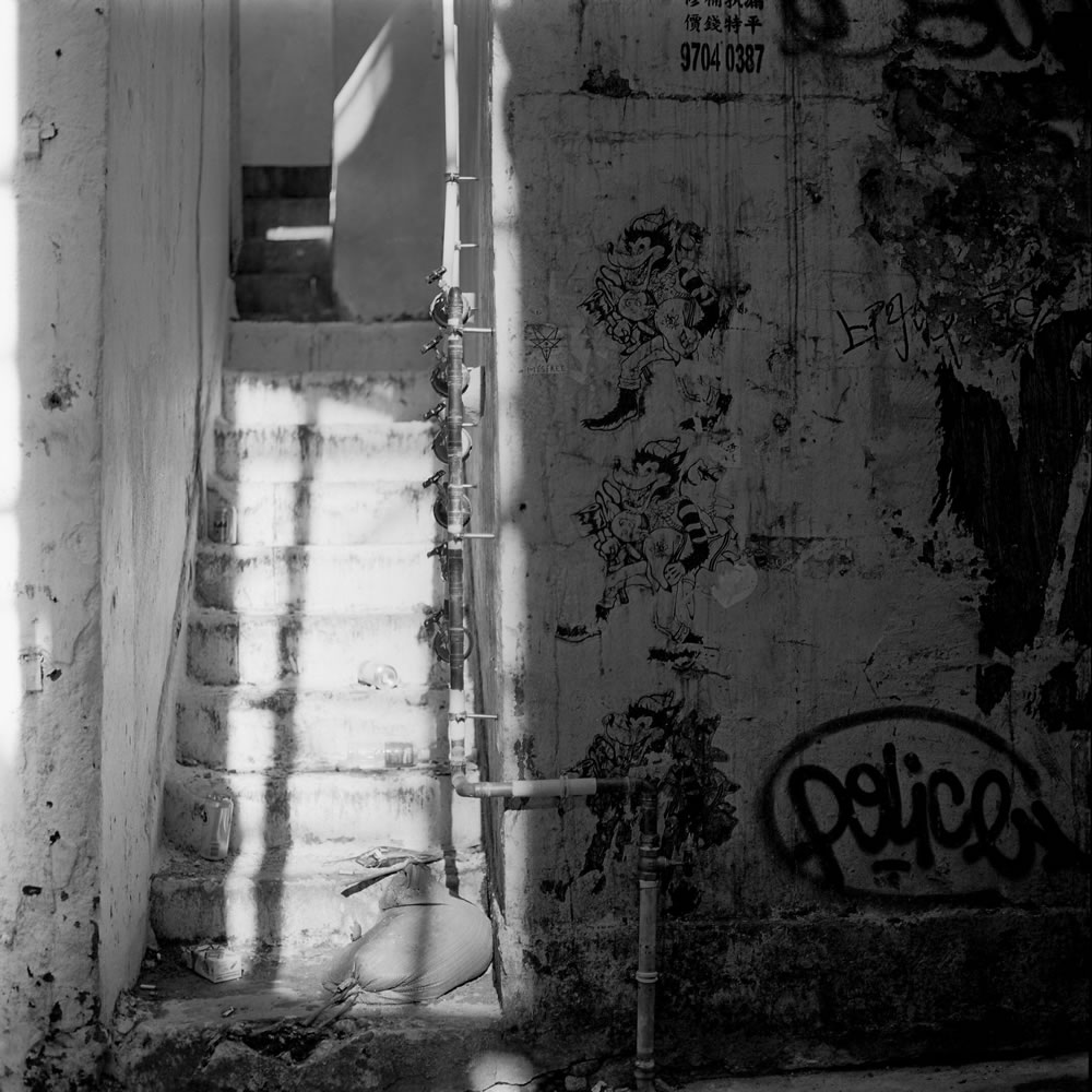 Photography: The Big Bad Wolf – Rollei Ortho 25 (120)