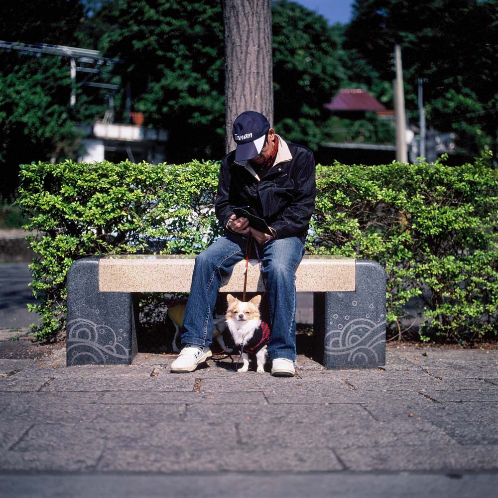 Photography: Gotta catch ’em all – Shot on Fuji Velvia 50 RVP50 (120 format)